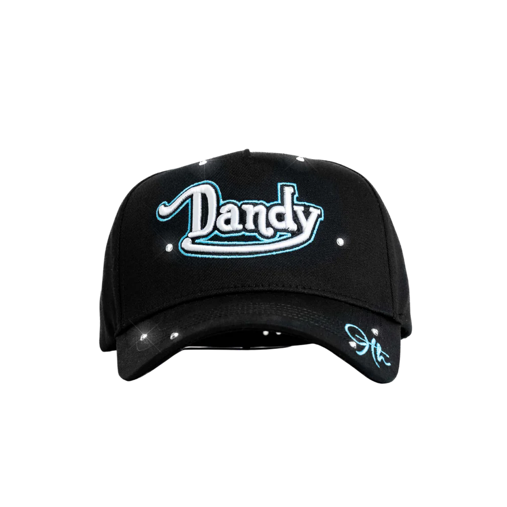 DANDY DUTCH 9TH ANNIVERSARY HAT